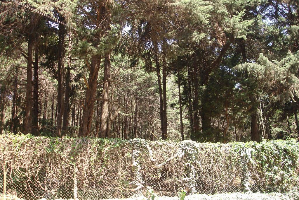 The Red House Bed & Breakfast Ooty Ngoại thất bức ảnh