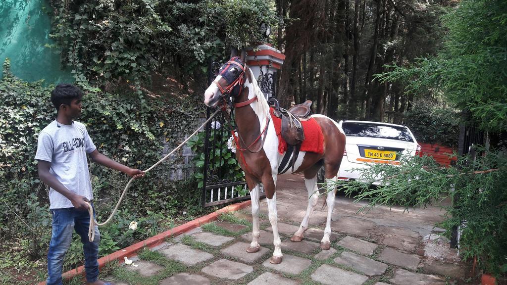 The Red House Bed & Breakfast Ooty Ngoại thất bức ảnh